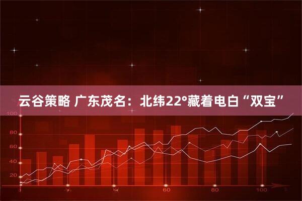 云谷策略 广东茂名：北纬22°藏着电白“双宝”