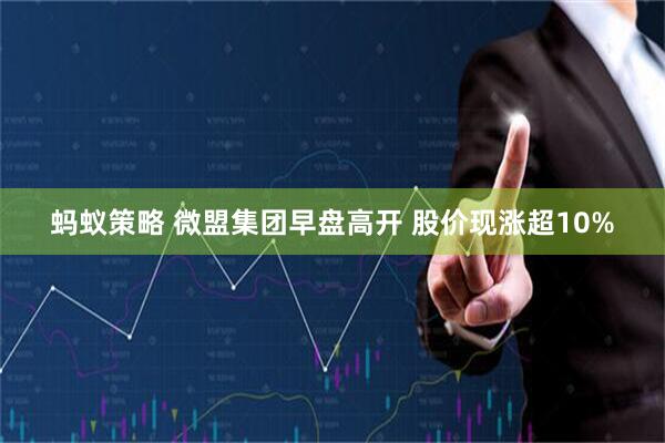 蚂蚁策略 微盟集团早盘高开 股价现涨超10%