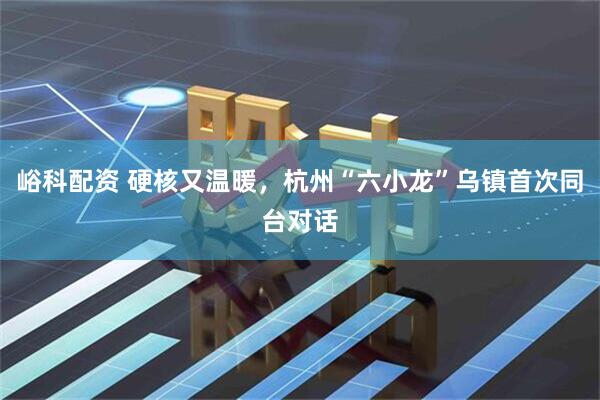峪科配资 硬核又温暖，杭州“六小龙”乌镇首次同台对话