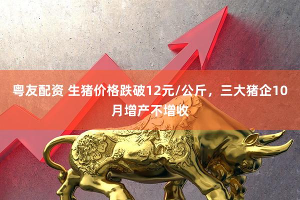粤友配资 生猪价格跌破12元/公斤，三大猪企10月增产不增收
