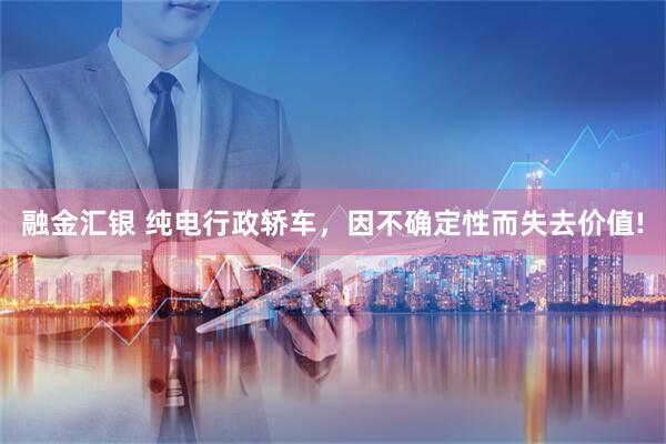 融金汇银 纯电行政轿车，因不确定性而失去价值!