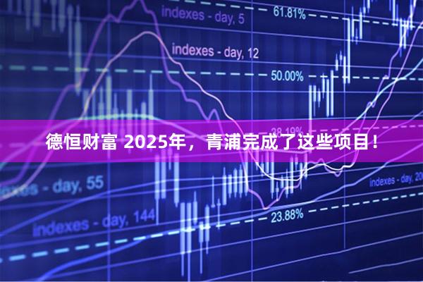 德恒财富 2025年，青浦完成了这些项目！